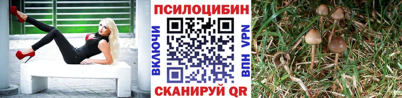 Галлюциногенные грибы прущие грибы  Макушино 